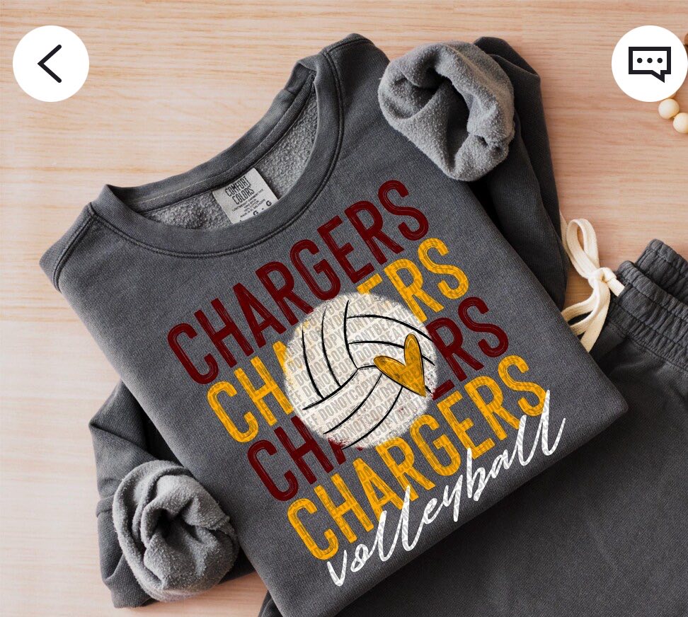 CUSTOM Volleyball Mascot ADULT