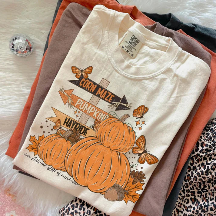 CORN MAZE, PUMPKINS, HAYRIDES ADULT