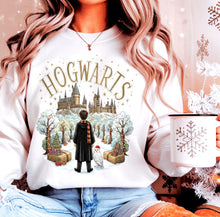 Load image into Gallery viewer, Hogwarts Adult Shirt
