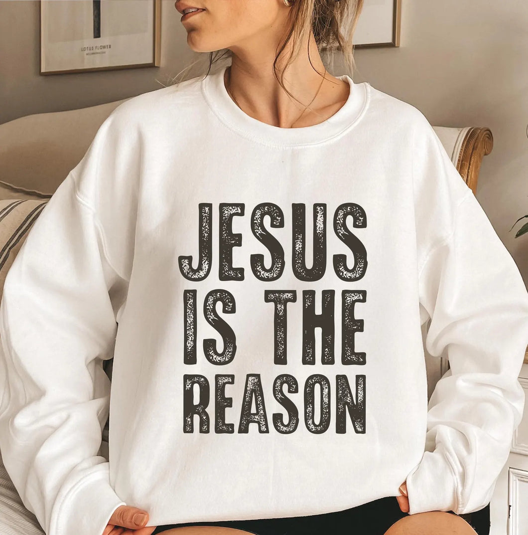 Jesus Is The Reason Adult Shirt